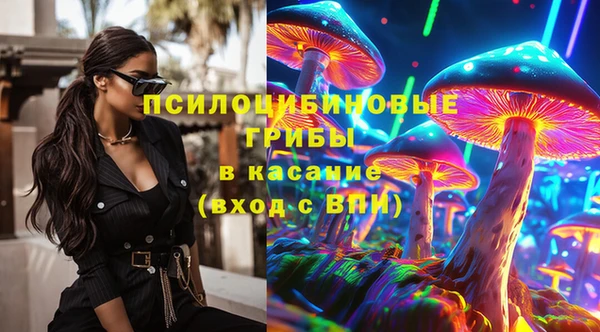 хмурый Инсар