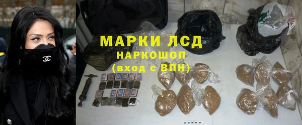 хмурый Инсар