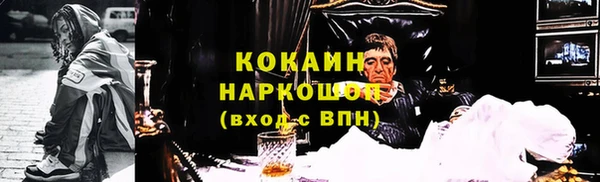 хмурый Инсар