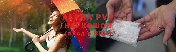 хмурый Инсар