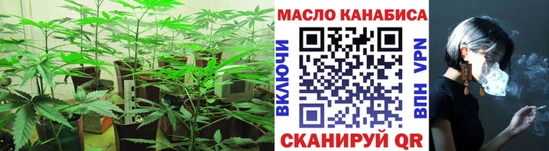 Купить закладки  Горячий Ключ  Дистиллят ТГК THC oil 
