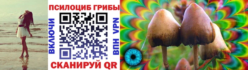 Купить где  Горячий Ключ  Галлюциногенные грибы мухоморы 
